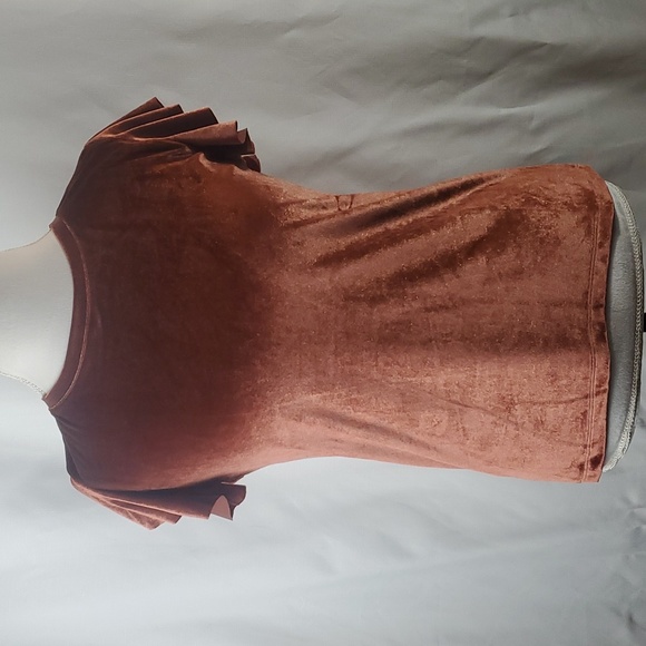 🍎2 Items/$12 Joyfolie Bridget flutter sleeve velvet top in Mahogany size Medium - Picture 2 of 10